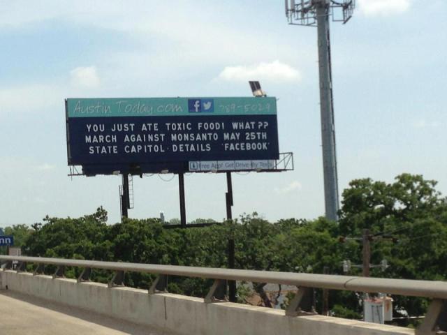 253203_4566817900761_434950789_n