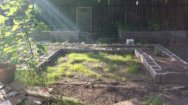 Moon Garden - 6/3/2015