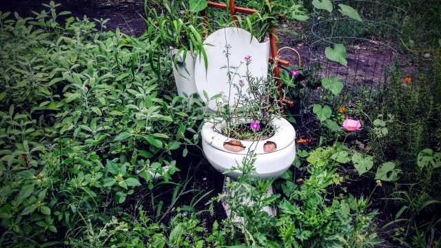 Toilet Garden