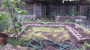 Moon Garden: 6/20/2015