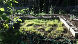 Moon Garden: 6/25/2015