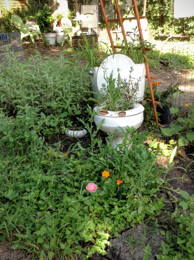 Toilet Garden