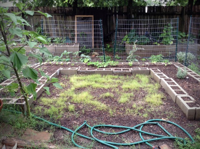 Moon Garden: 6/19/15