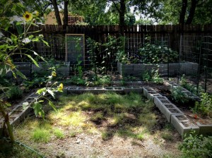 Moon Garden: 7/13/2015