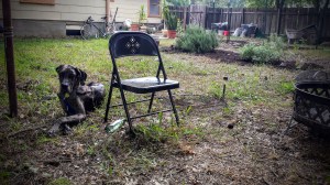 Same-ish view - 7/21/2014