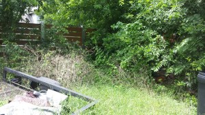 Butterfly Garden - 6/27/2015 1:00 PM