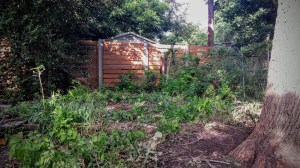 (Future) Chicken Garden - 7/2/2015 8:34 AM