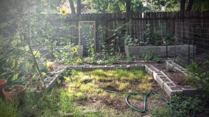 Moon Garden - 7/11/2015