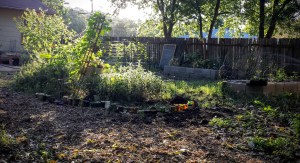Toilet Garden - Bottle Border