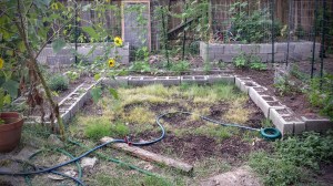 Moon Garden - 7/19/2015