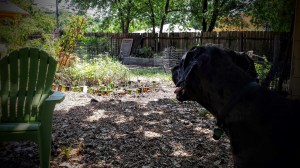 Lulu Head and Bottle Border