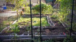 Can you find the two perfect hen-shaped dustbaths?