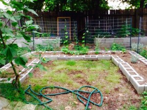 Moon Garden - 6/28/2015