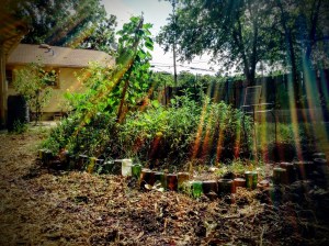 The Day The World Turned Day-Glo