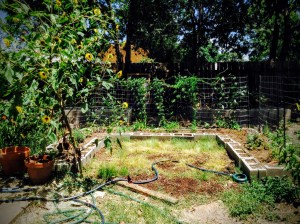 Moon Garden - 7/18/2015