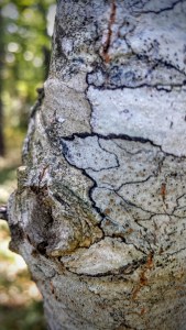 Rachel Carson National Wildlife Refuge