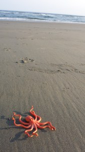 Popham Beach State Park