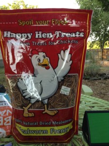 Yes, I spent 16 bucks on dried worms.