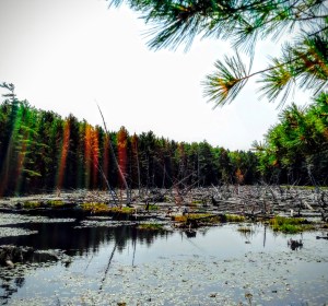 Acadia National Park