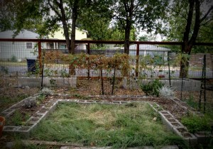 Moon Garden: 10/21/15