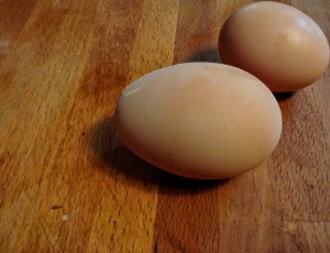 Big Egg, Little Egg - the baby chicks are starting to lay!