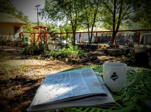 The current view from my back yard perch.