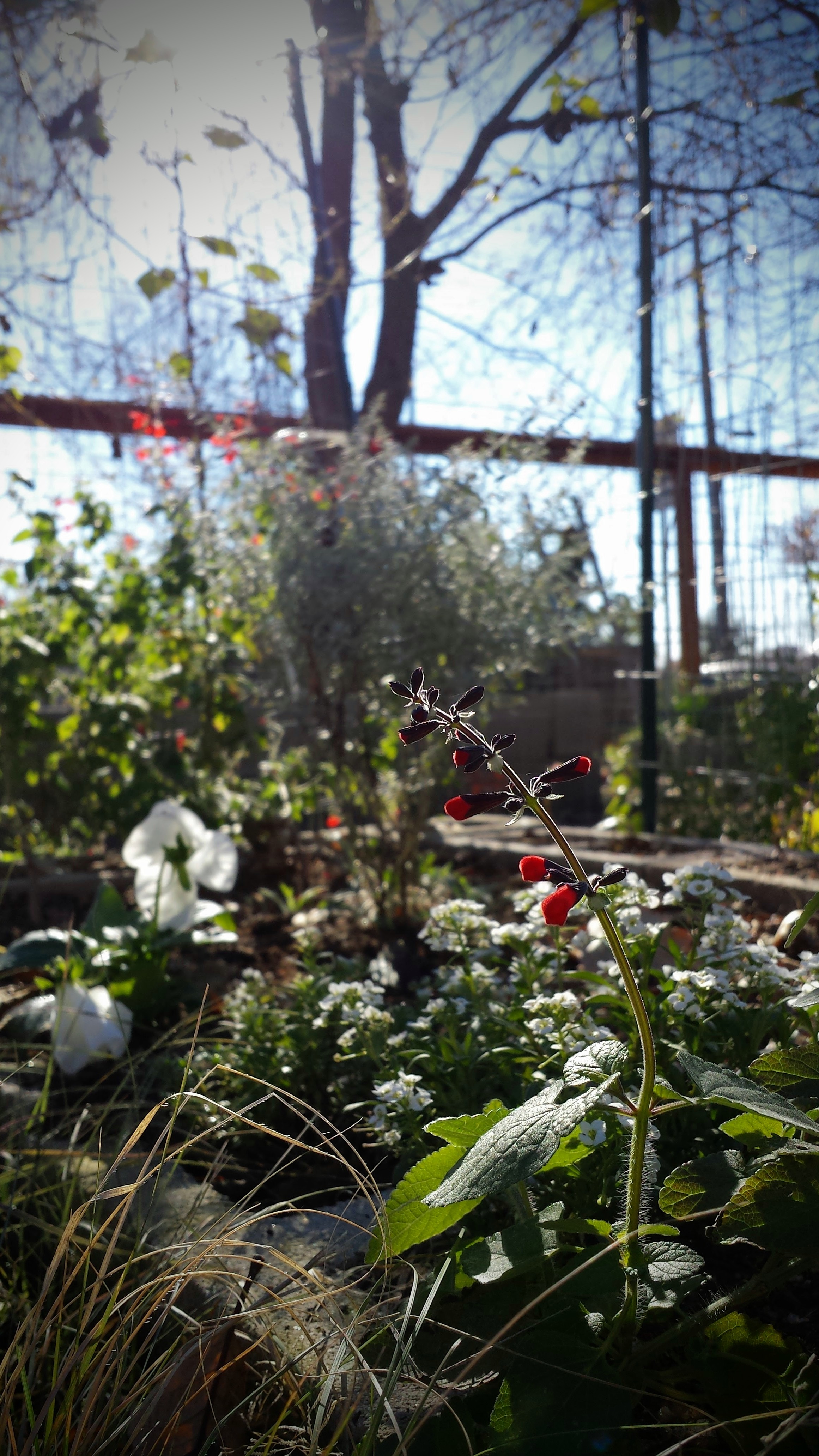 20151219_100303 (1).jpg