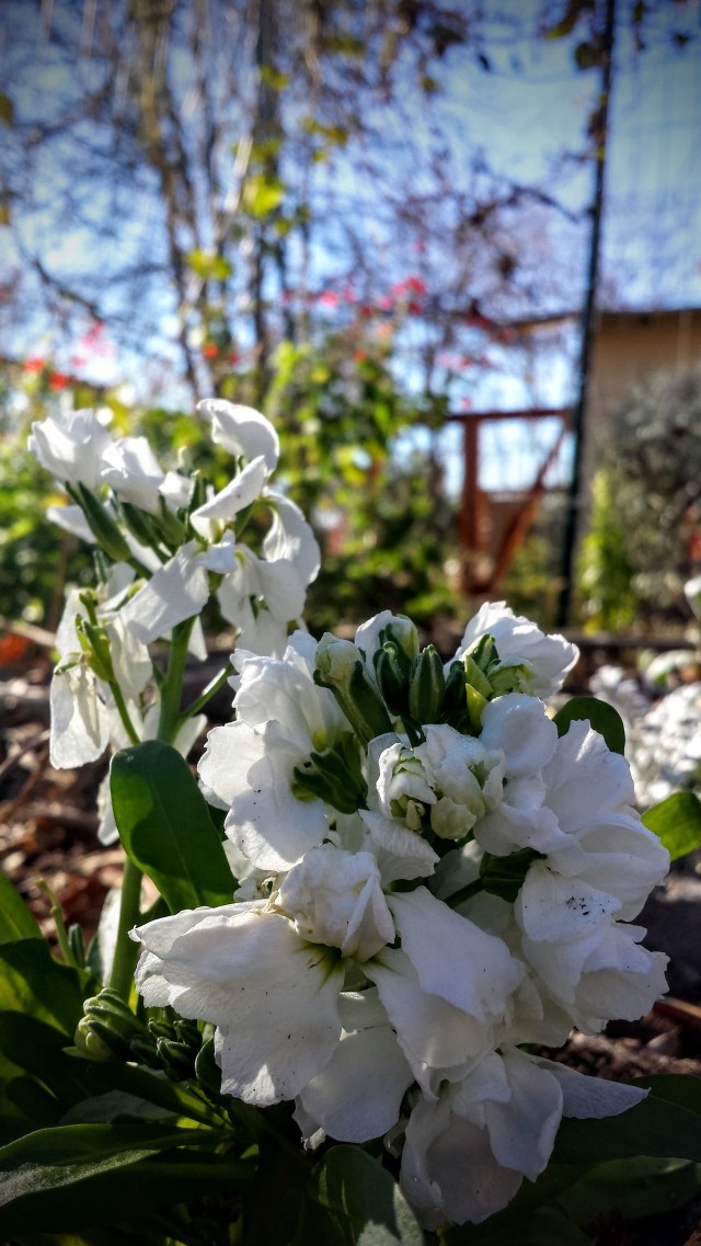 20151219_100419 (1).jpg