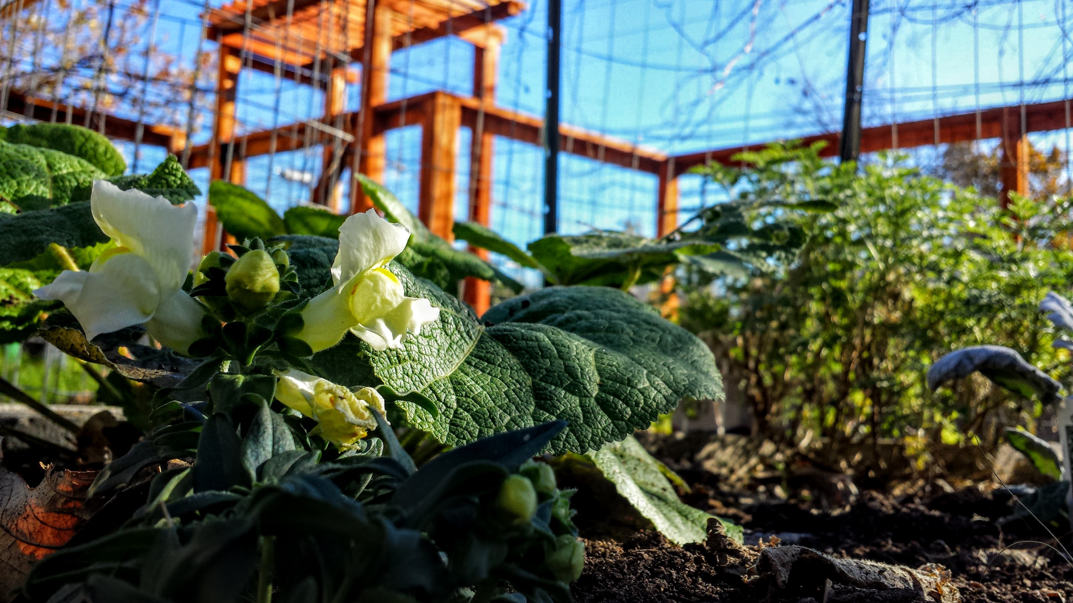 20151219_100512 (1).jpg