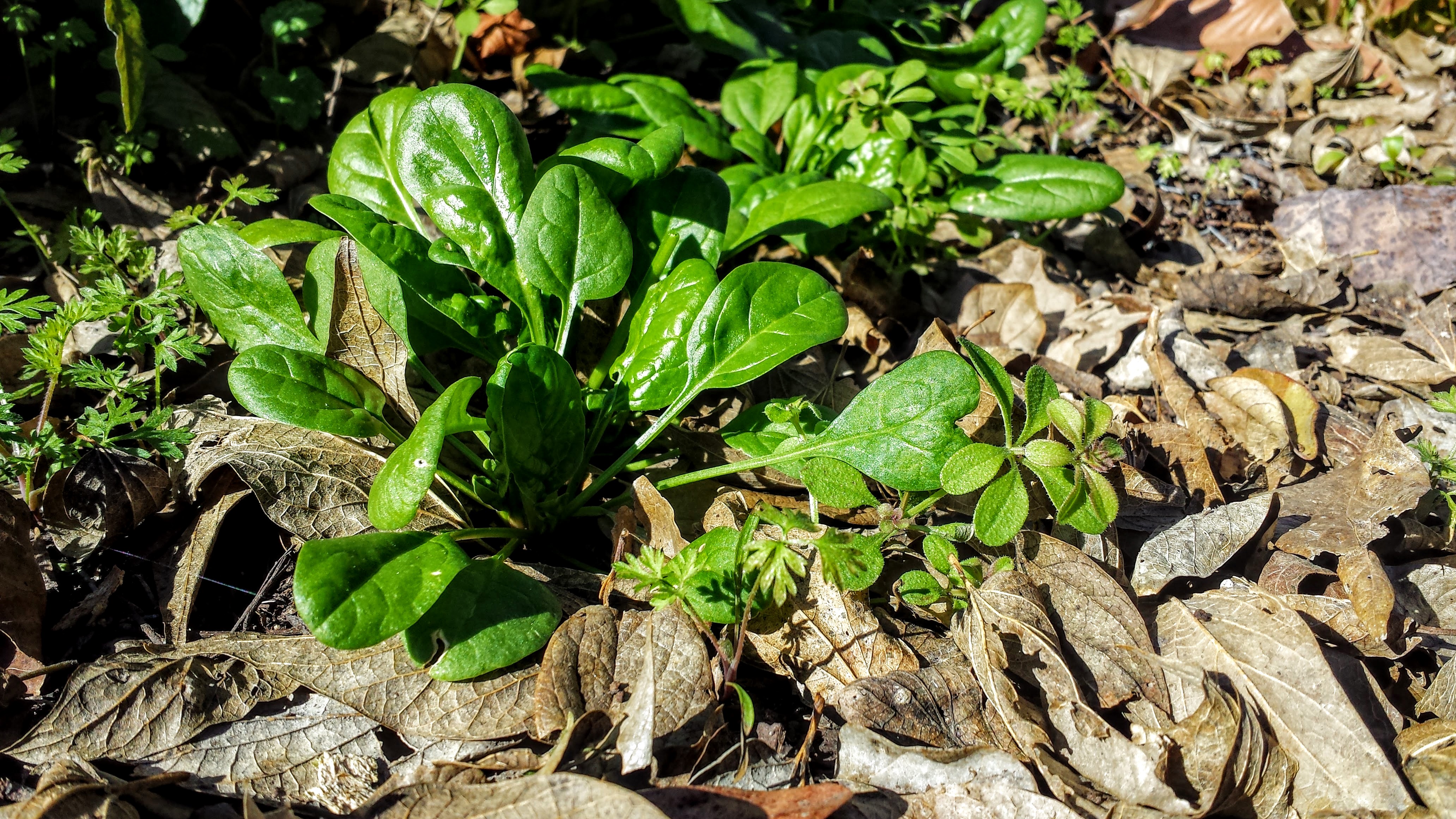 20151219_103437 (1).jpg