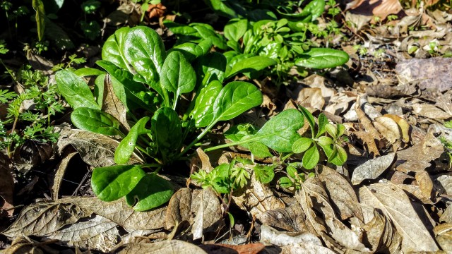 20151219_103437 (1).jpg