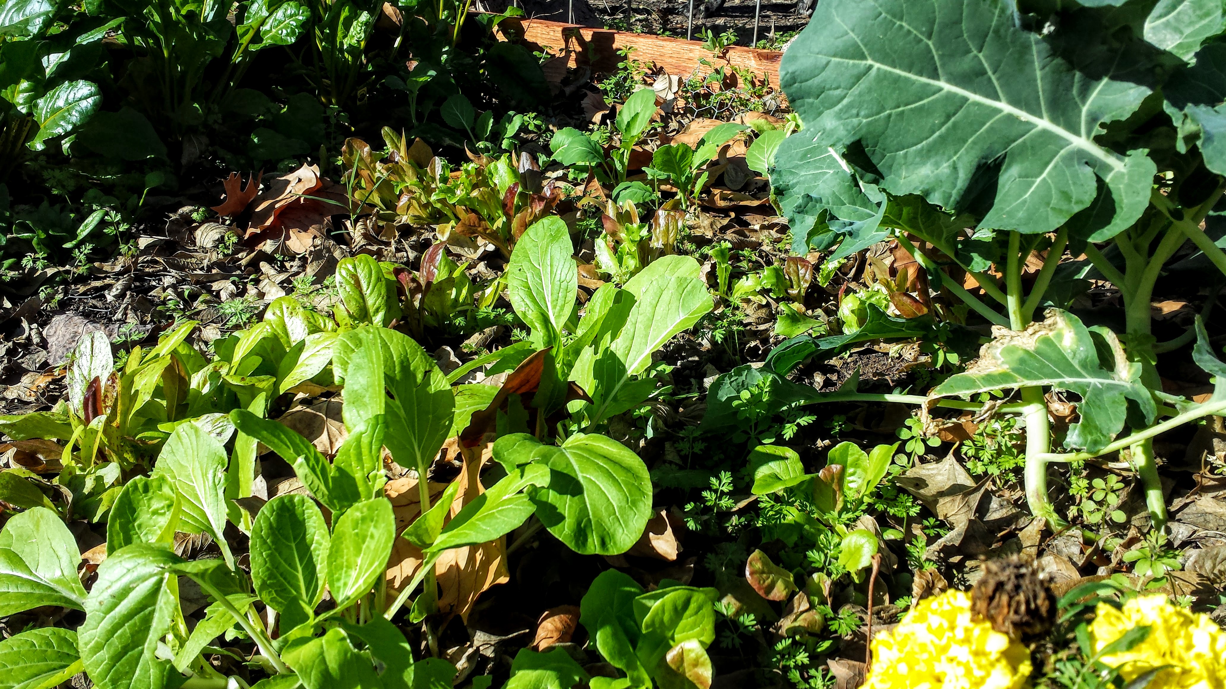 20151219_103518 (1).jpg