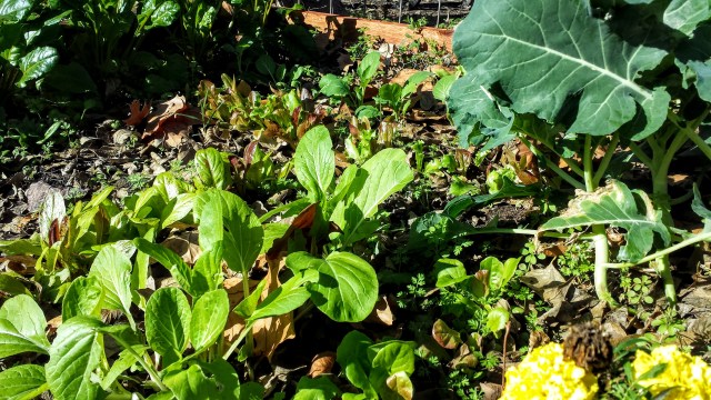 20151219_103518 (1).jpg