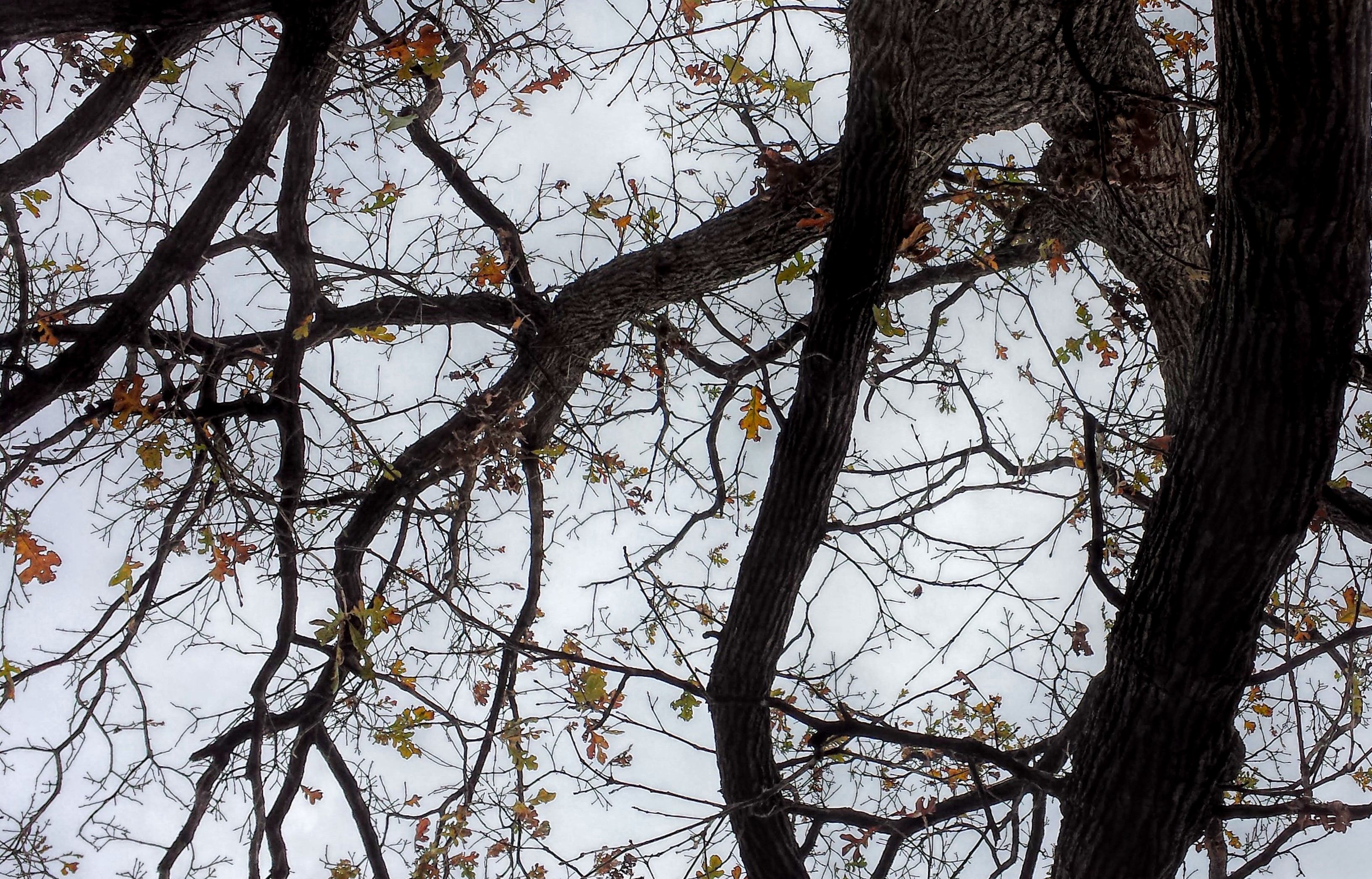 20160101_091815 (1).jpg