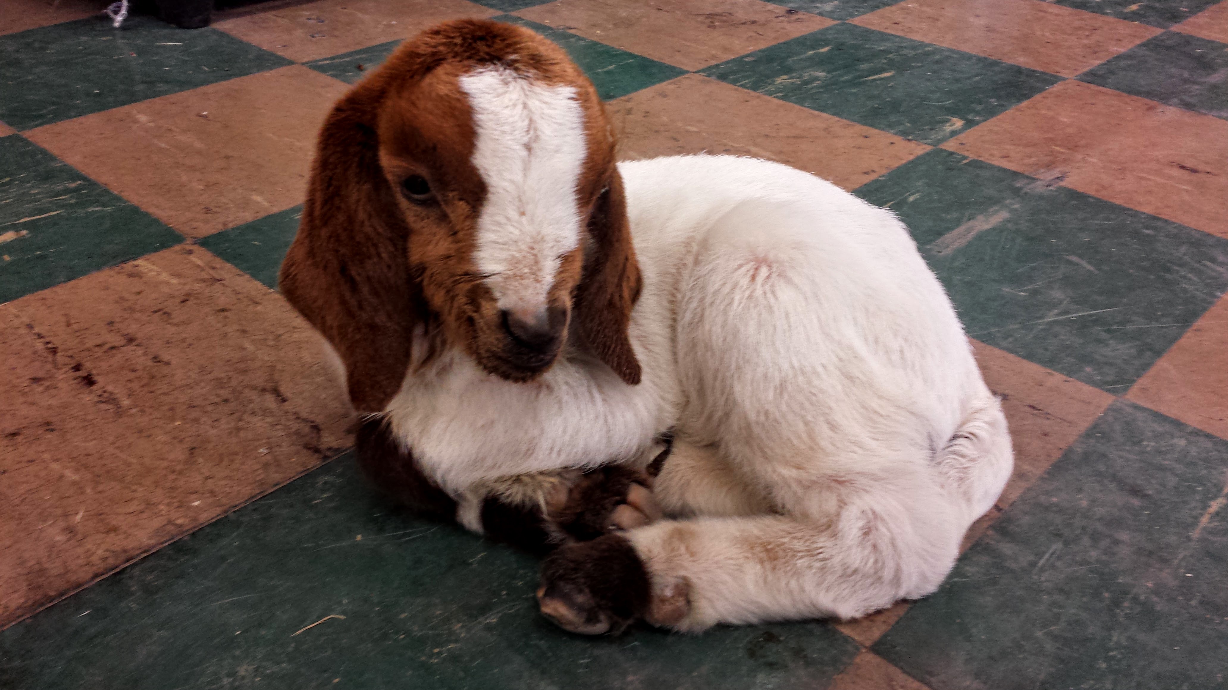 20160212_145728 (1).jpg