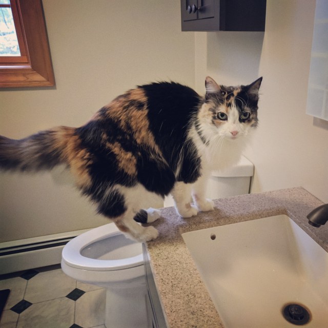 IMG_20191120_141830_326